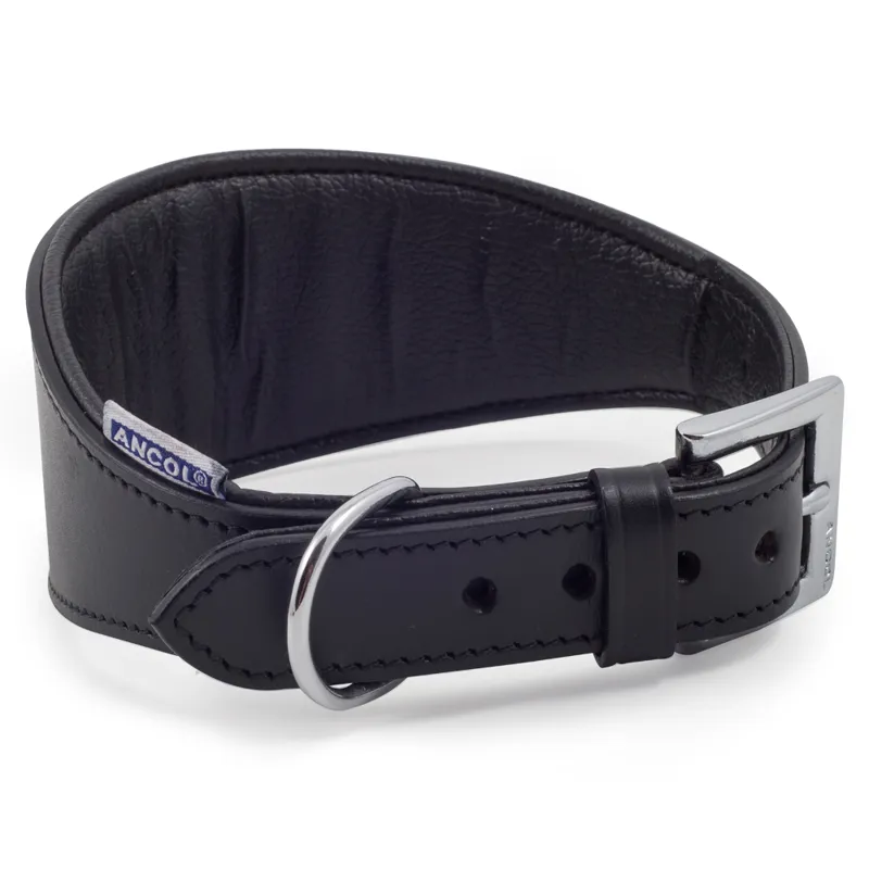 Ancol Classic Padded Hound Collar Black